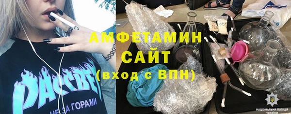 шишки Коряжма