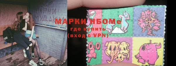 шишки Коряжма