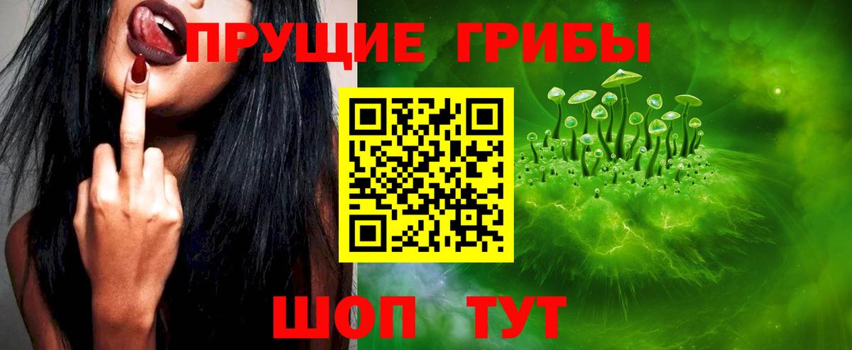 Псилоцибиновые грибы Cubensis  Вход с VPN  Псилоцибиновые грибы Psilocybe  Пенза 